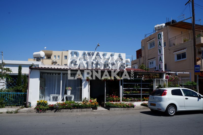 Davalia-Gardens-Co.-Ltd