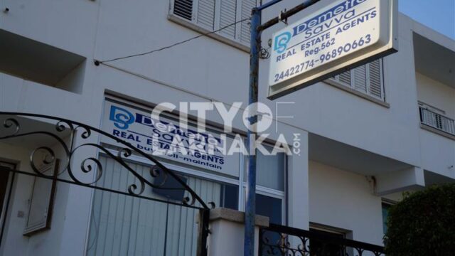 Demetra-Savva-real-estate