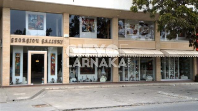 Georgiou-Gallery