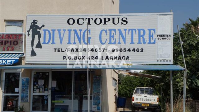 Octopus-Diving-Centre