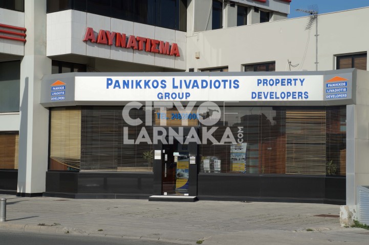 Panikkos-Livadiotis-group