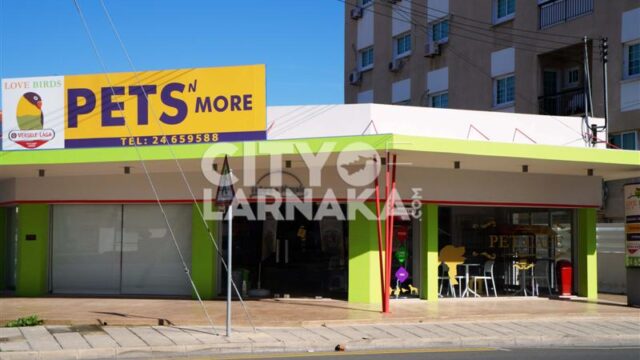 Pets-n-more