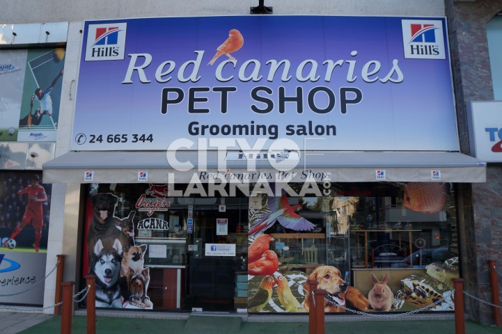 RED-Canaries-PET-SHOP