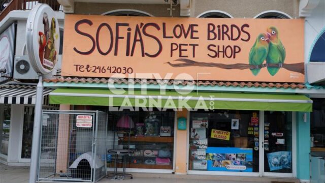 Sofias-Love-Birds-Pet-shop